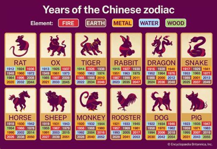 1974 Chinese Zodiac Animal: Discover Your Year of the Wood Rabbit