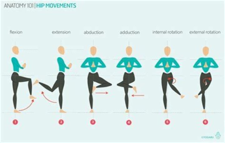 Abduction vs Adduction Hip: Understanding the Key Differences and Their Importance