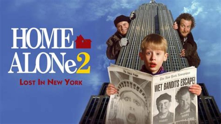 Ally Heedy Home Alone 2: The Ultimate Guide to Her Role and Impact