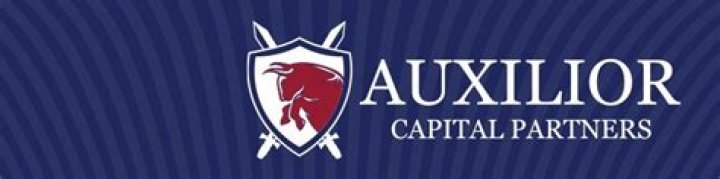 Auxilior Capital Partners: The Ultimate Guide to a Leading Investment Firm