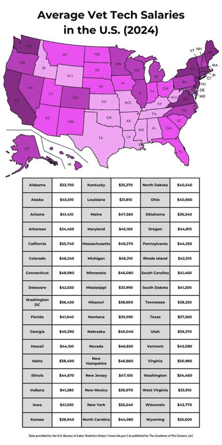 Average Vet Tech Salary: A Comprehensive Guide for Aspiring Veterinary Technicians