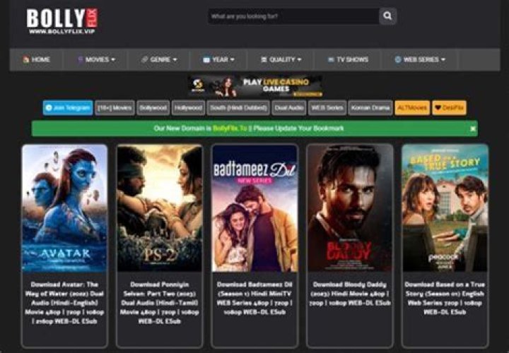 BollyFlix: Your Ultimate Guide to Bollywood Movies and Entertainment