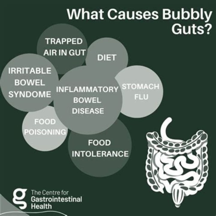 Bubble.Guts Meaning: Understanding the Concept and Its Applications