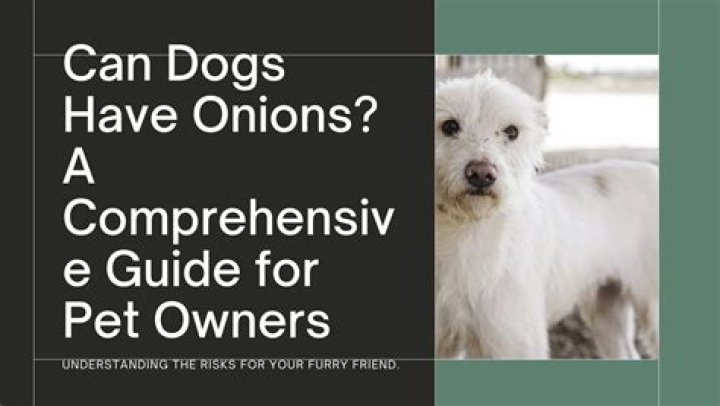 Can Dogs Have Kin Tags? A Comprehensive Guide for Pet Owners