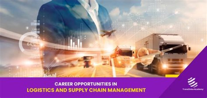 Career Number for Luggers: Unlocking Opportunities in the Logistics and Travel Industry