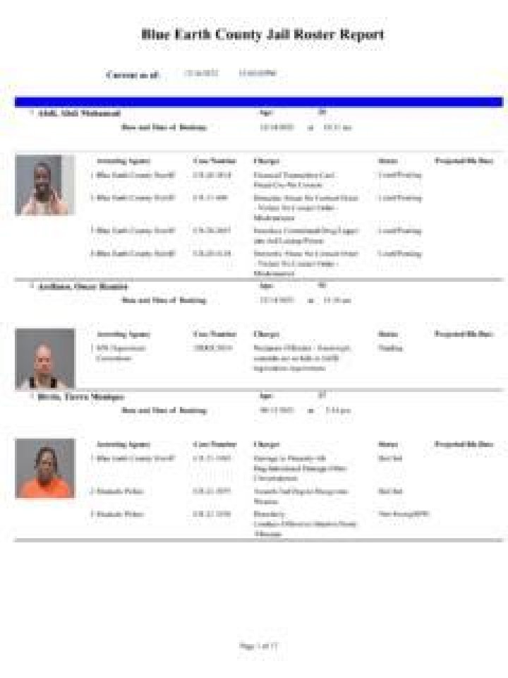 Comprehensive Guide to Blue Earth County Jail Roster PDF