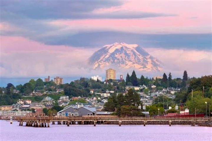Discover the Best Donuthop Experience in Tacoma WA