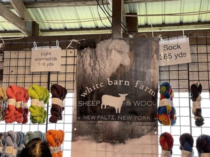 Discover the Magic of the Sheep Festival Rhinebeck: A Celebration of Wool and Wellness