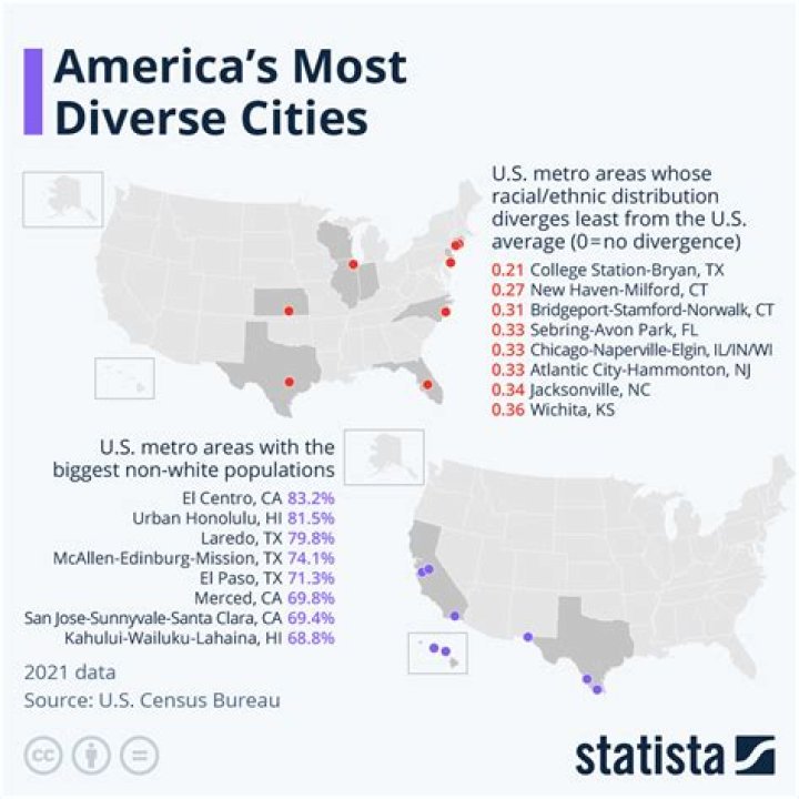 Discover the Most Diverse City in the US: A Comprehensive Guide