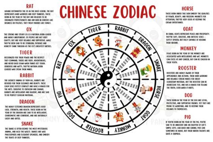 Discover Your Zodiac Chinese 1974: A Comprehensive Guide to Understanding Your Personality and Destiny