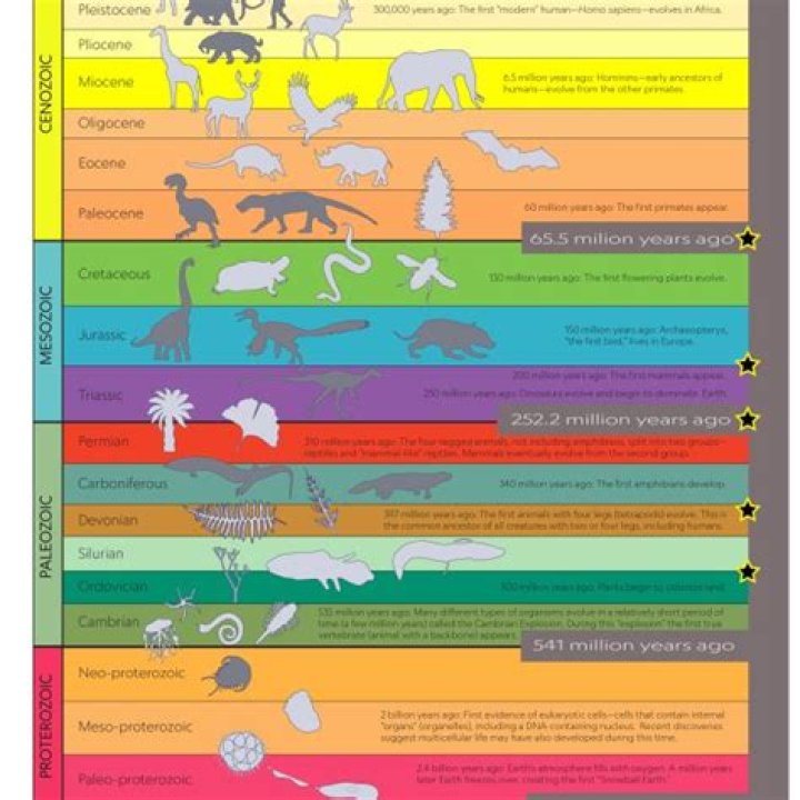 Eras of Time: Exploring the Epochs That Shaped Our World