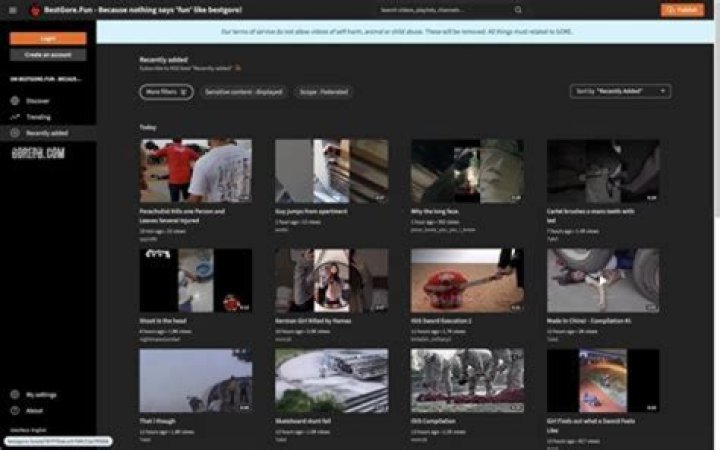 Exploring Bestgore.fun: A Comprehensive Guide to Understanding Its Content and Implications