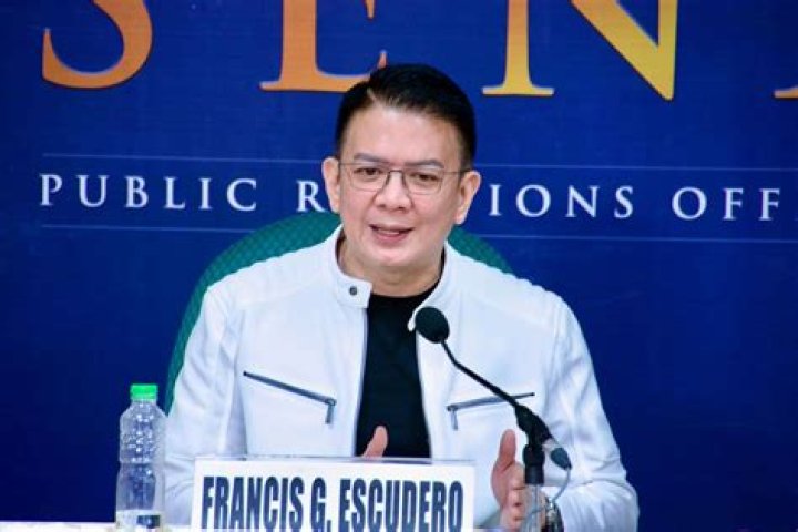 Francis Escudero Net Worth: A Comprehensive Look at the Wealth and Achievements of a Prominent Filipino Figure