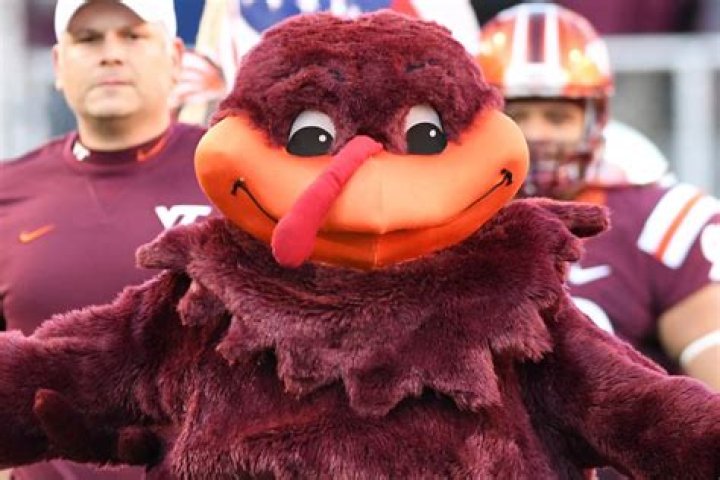 Hokie Bird Mascot: The Iconic Spirit of Virginia Tech