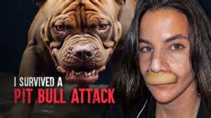 How Hard Can a Pitbull Bite? Unveiling the Truth Behind Their Powerful Jaws