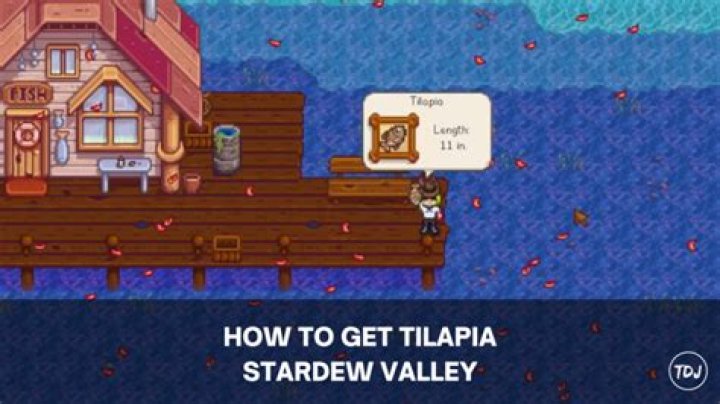 How to Get Tilapia in Intardew Valley: A Comprehensive Guide