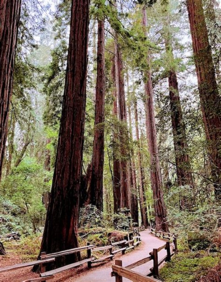 Jedediah Mith Park: A Haven of Natural Beauty and Adventure
