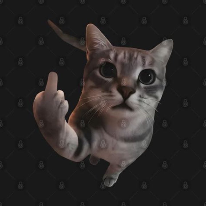 Meme of Middle Finger: The Ultimate Guide to Understanding Its Meaning, Popularity, and Impact