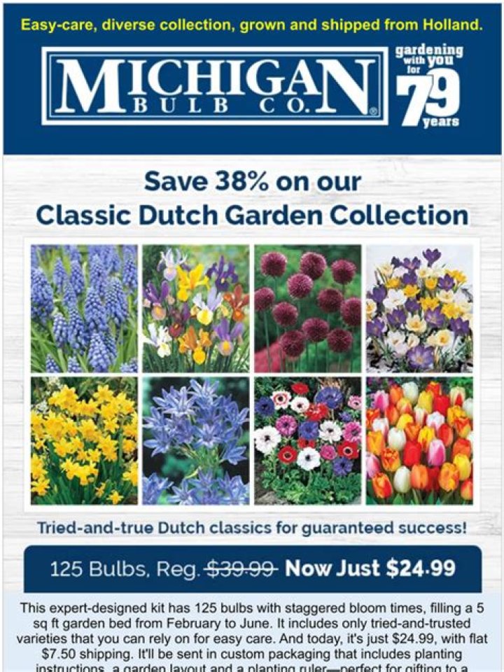 Michigan Bulb Company Website: A Comprehensive Guide to Your One-Stop Shop for Quality Bulbs