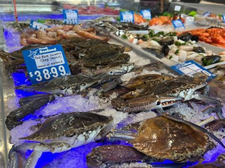MitchellSeafood Market: Your Ultimate Destination for Fresh and Premium Seafood