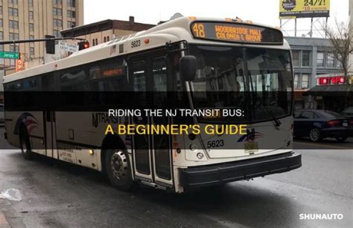 NJ Transit Bus Inside: A Comprehensive Guide to Your Journey