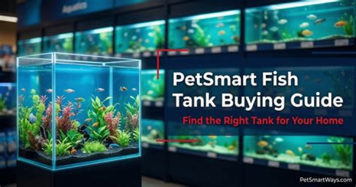 Petsmart Fish Warranty: A Comprehensive Guide to Protect Your Aquatic Pets