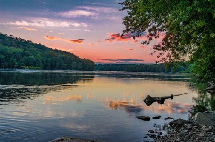 Risecannabis Hagerstown MD: Your Ultimate Guide to Medical Cannabis in Maryland
