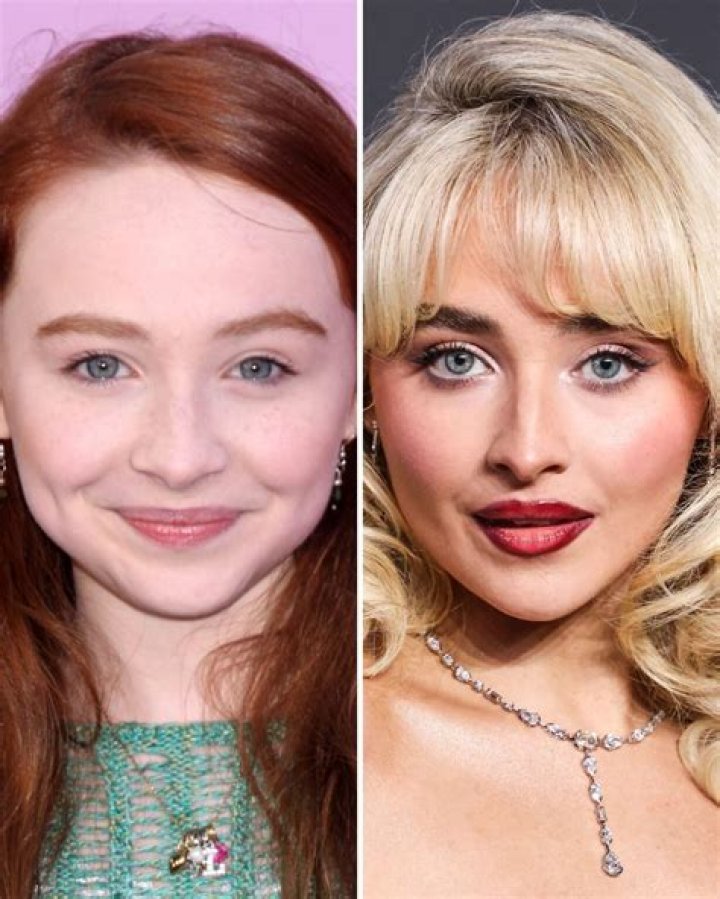Sabrina Carpenter Before Fame: Unveiling the Journey of a Rising Star