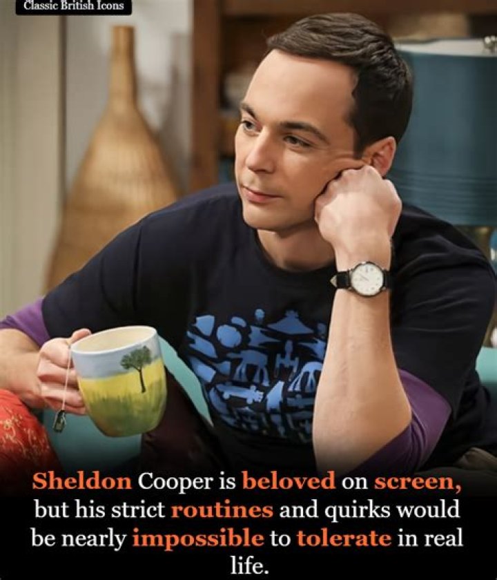 Sheldon Cooper Casting: The Journey of a Beloved Character