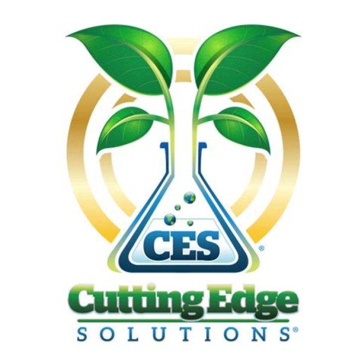 Somerville NG Companies: Leading the Way in Cutting-Edge Solutions