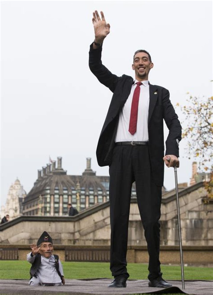The Tallest Person in the World: Unveiling Their Remarkable Height and Story