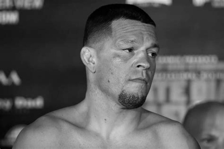 UFC Fighter Louis: The Ultimate Guide to His Career, Achievements, and Legacy