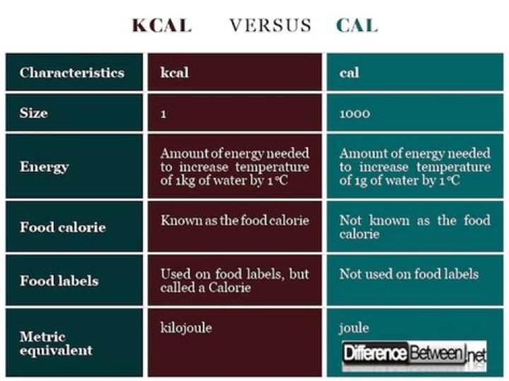 Understanding kcal vs Calories: A Comprehensive Guide