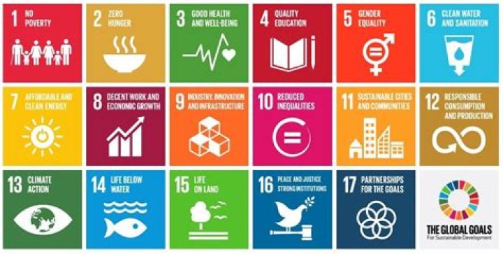 Understanding Sustainable Development Goals (SDGs): A Comprehensive Guide to SDA