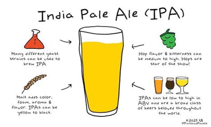 Understanding the Meaning of IPAs: A Comprehensive Guide