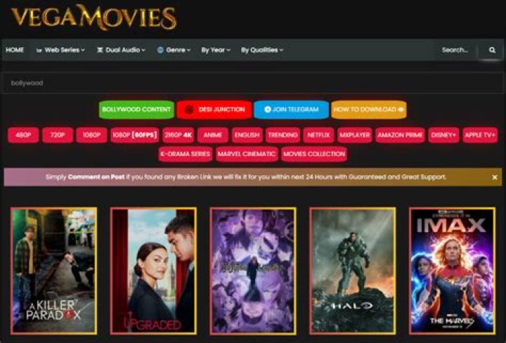 Unlock the World of Entertainment with Vegamovies.mkv
