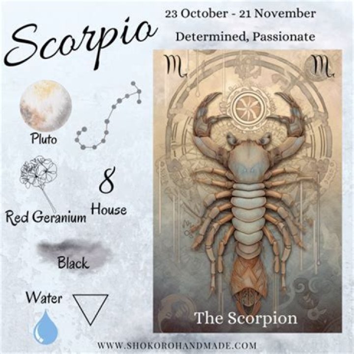 Unveiling the Mysterious Scorpio Male Traits: A Comprehensive Guide