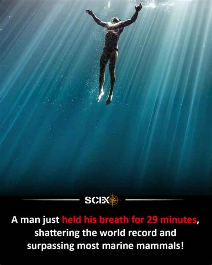Unveiling the Secrets of the Longest Held Breath: Exploring the Limits of Human Endurance