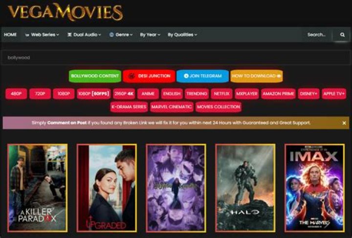 Vegamovies Anime: Your Guide to Streaming & Downloading (2024)