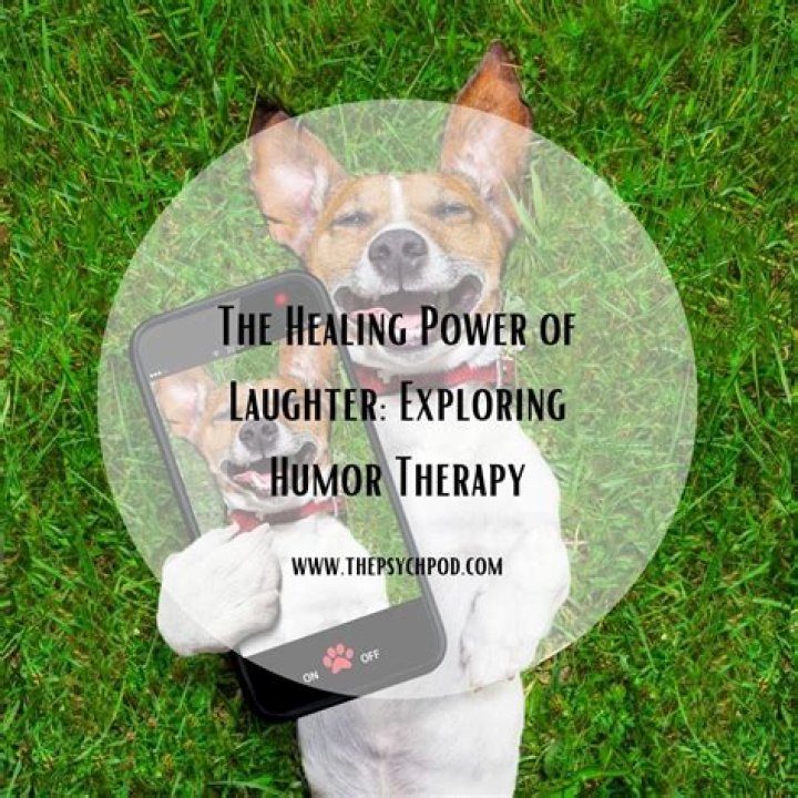 What's a Sense of Humor? Exploring the Power of Laughter in Life