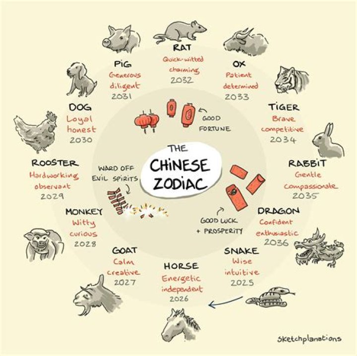What Chinese Zodiac is 1974? Discover the Traits, Compatibility, and Predictions