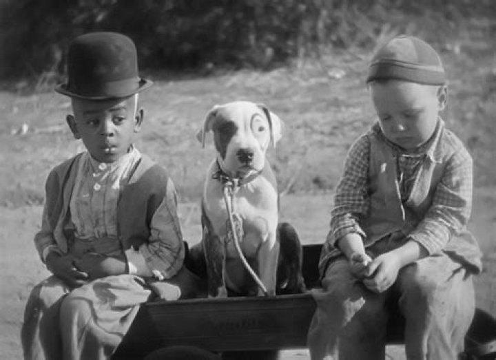 What Was the Dog's Name in The Little Rascals? A Comprehensive Guide to Our Beloved Pet