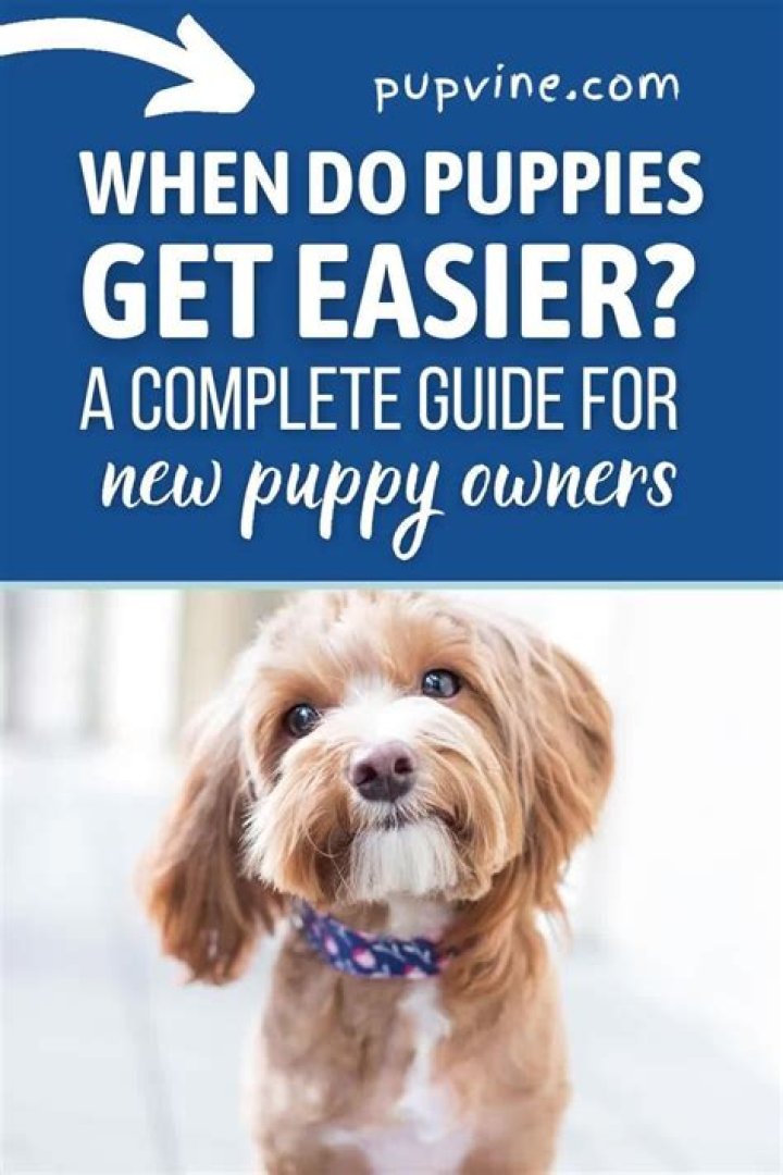 When Will Puppies' Eyes Open? A Comprehensive Guide for Puppy Owners