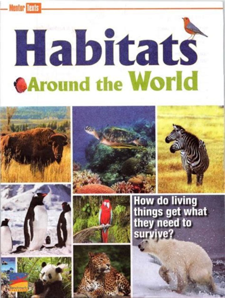 Where Do Tigers Live: A Comprehensive Guide to Understanding Their Habitats