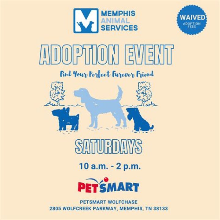 Why Animal Adoption in Memphis is a Lifesaving Decision