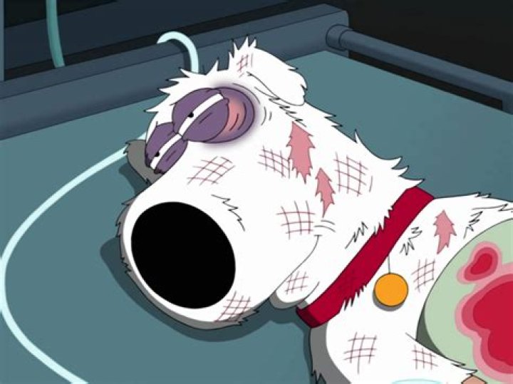 Why Did Brian Die in Family Guy: An In-Depth Analysis